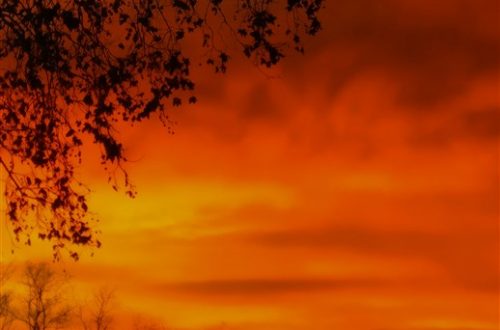 photostudio_1547720344966 photostudio_1547720344966